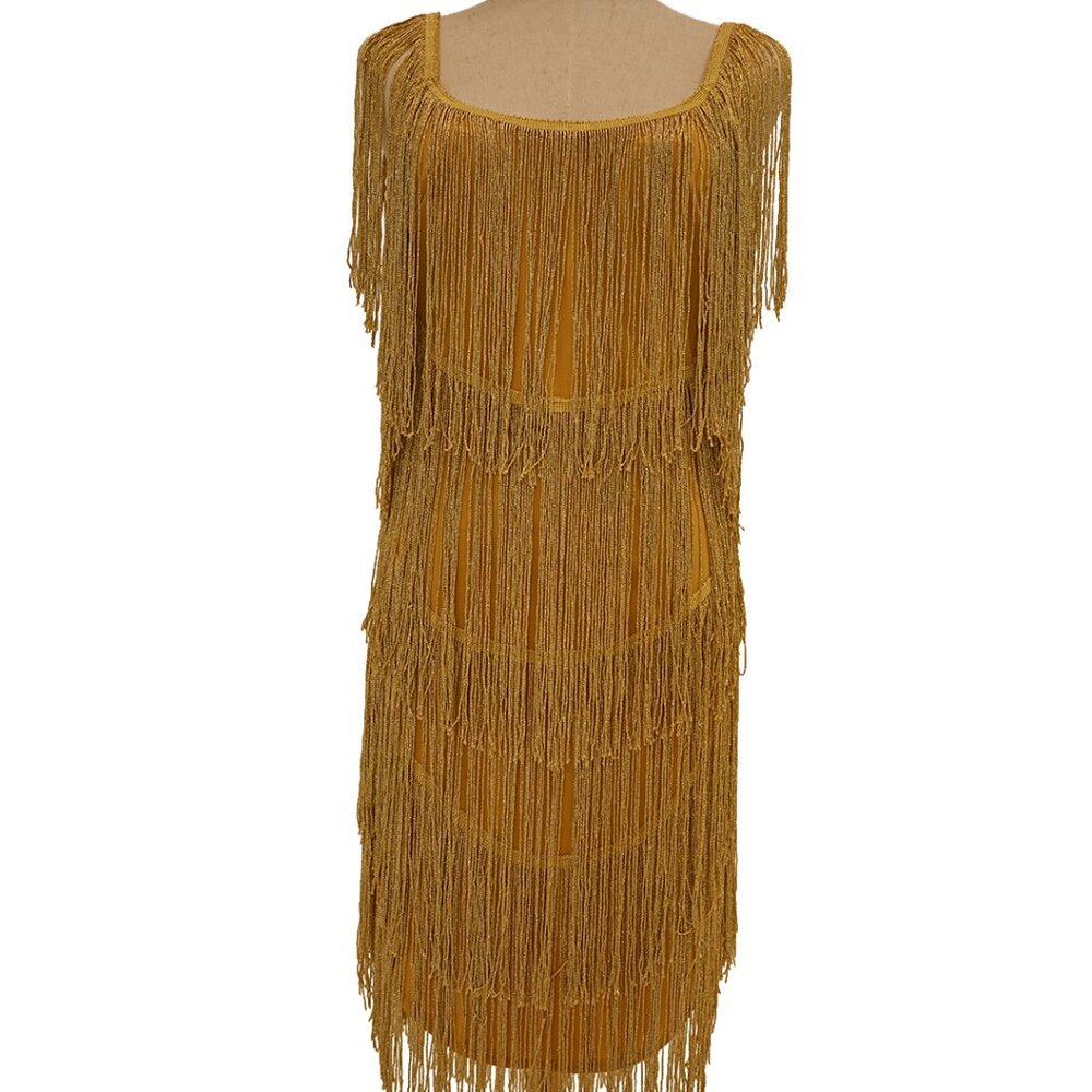 Vintage Fringe Tassel Dress